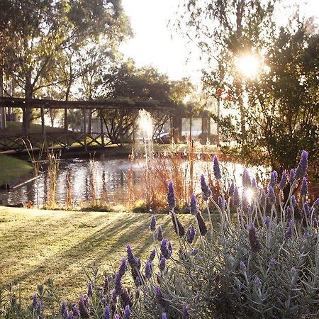 Hunter Valley Resort, Hunter Farm Adventure Centre & 4 Pines At The Farm Pokolbin Exteriör bild