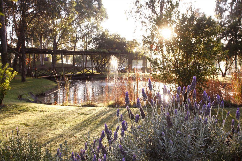 Hunter Valley Resort, Hunter Farm Adventure Centre & 4 Pines At The Farm Pokolbin Exteriör bild