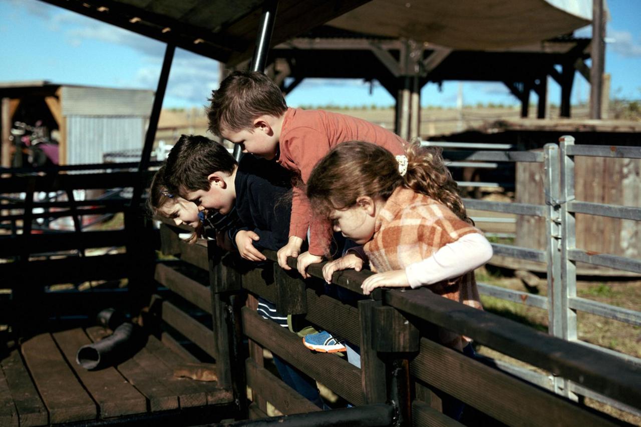 Hunter Valley Resort, Hunter Farm Adventure Centre & 4 Pines At The Farm Pokolbin Exteriör bild