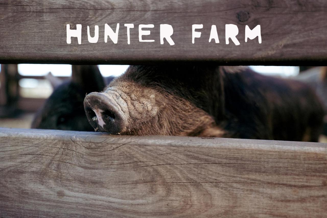 Hunter Valley Resort, Hunter Farm Adventure Centre & 4 Pines At The Farm Pokolbin Exteriör bild