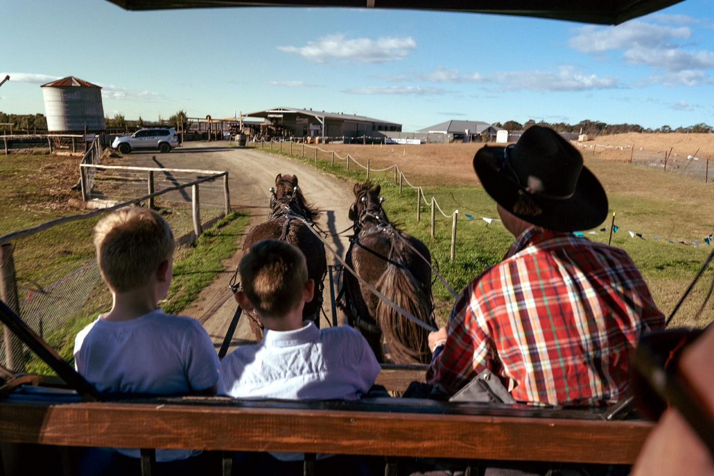 Hunter Valley Resort, Hunter Farm Adventure Centre & 4 Pines At The Farm Pokolbin Exteriör bild