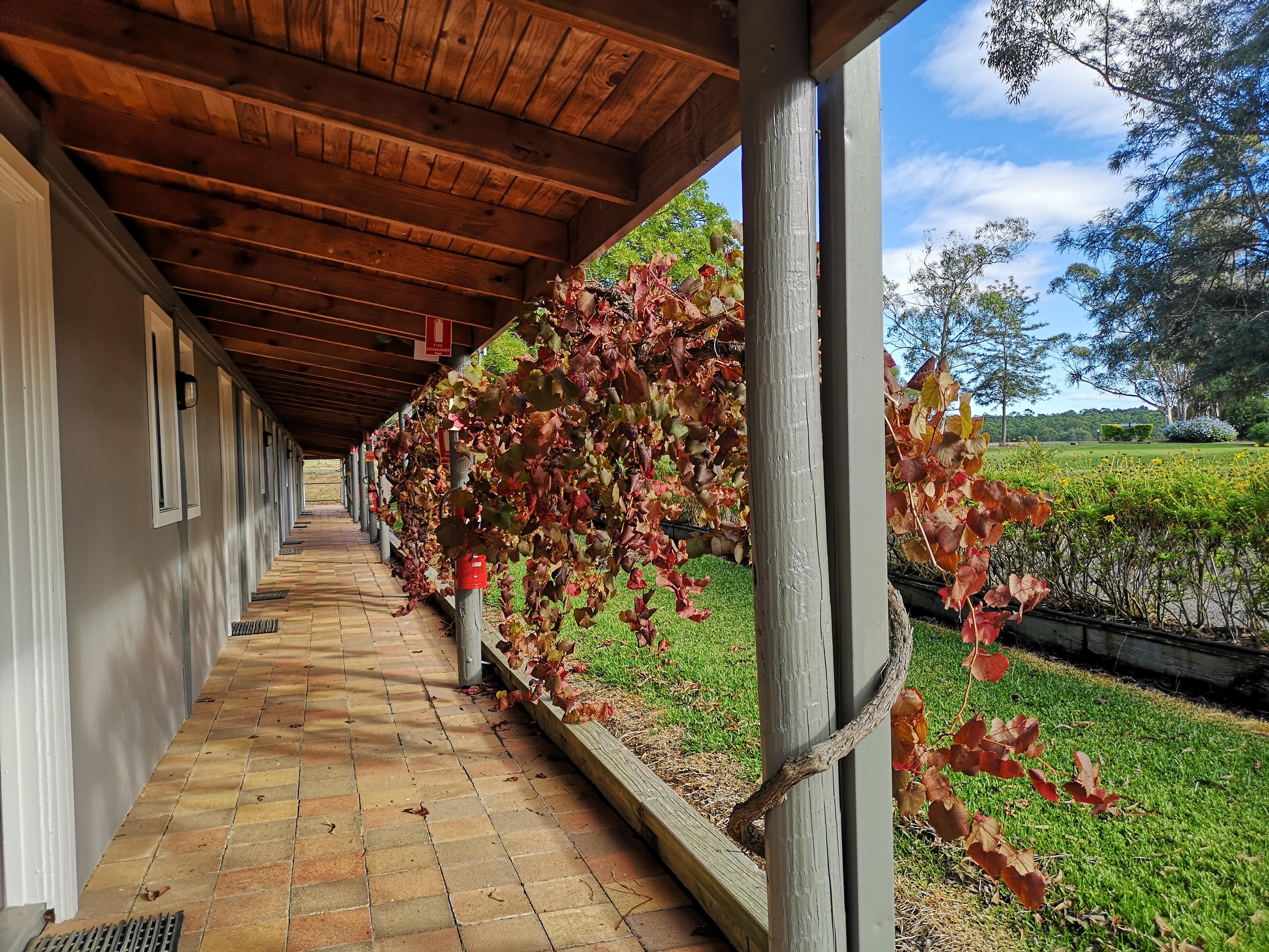 Hunter Valley Resort, Hunter Farm Adventure Centre & 4 Pines At The Farm Pokolbin Exteriör bild