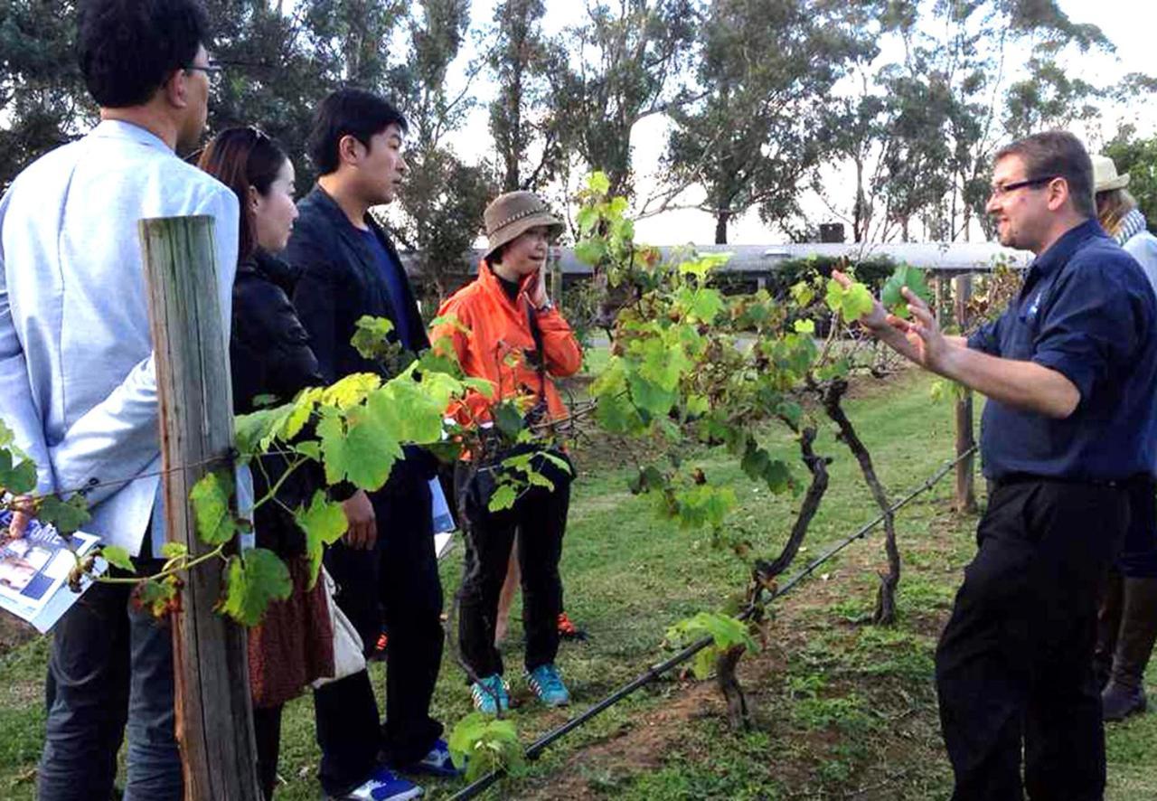 Hunter Valley Resort, Hunter Farm Adventure Centre & 4 Pines At The Farm Pokolbin Exteriör bild