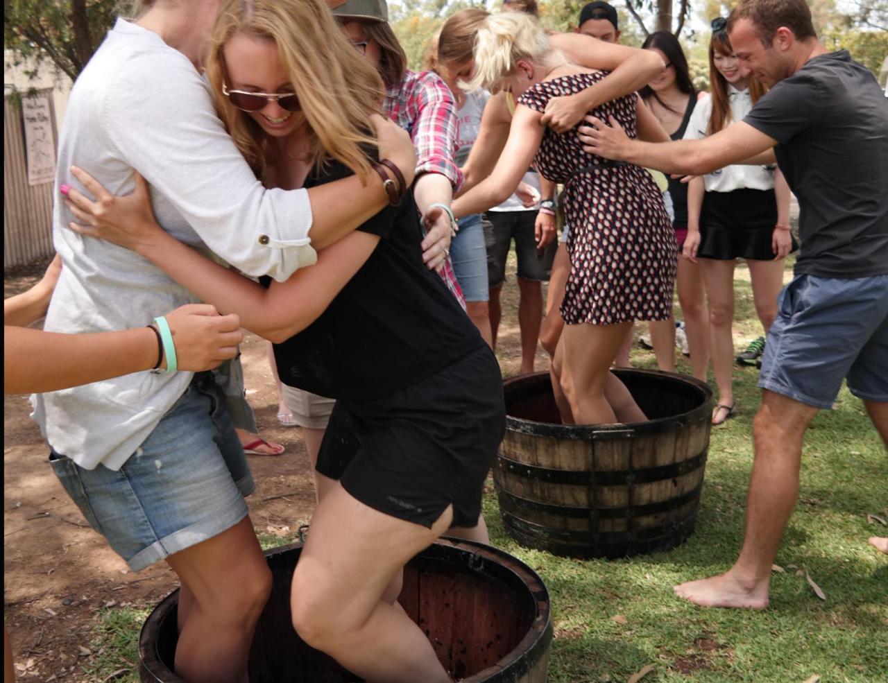 Hunter Valley Resort, Hunter Farm Adventure Centre & 4 Pines At The Farm Pokolbin Exteriör bild